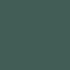 Couleur: vert foncé